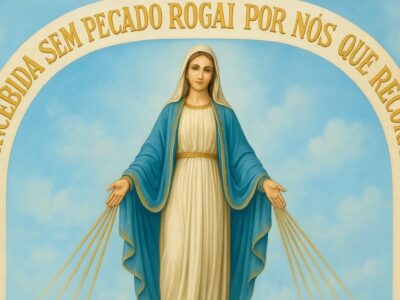 nossa senhora das graças medalha milagrosa 27 novembro santo do dia origem milagres