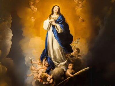 imagem imaculada conceição de maria nossa senhora 8 dezembro santo do dia