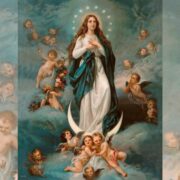 imagem imaculada conceição de maria nossa senhora 8 dezembro santo dia